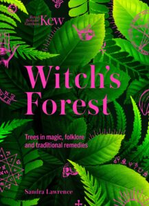 Witch’s Forest: Trees in folklore, magic and traditional medicine cover
